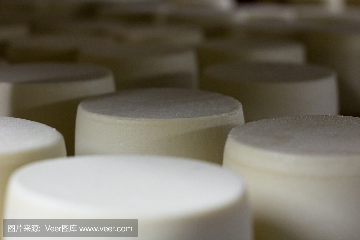 乳制品生產車間,架子上放著成熟的白奶酪頭