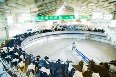 富源國(guó)際:“中國(guó)乳品制造”的中堅(jiān)力量