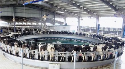 華中最大低溫乳制品工廠升級,光明乳業(yè)數字化賦能全國化戰(zhàn)略落地